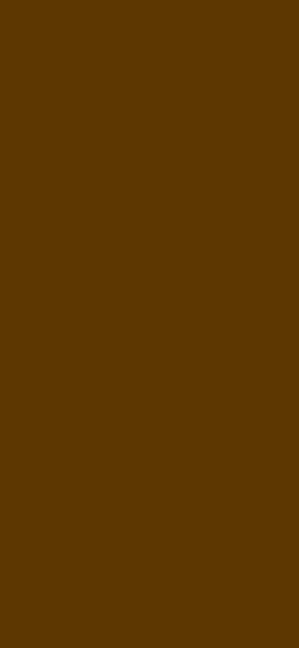 #5D3701 color image