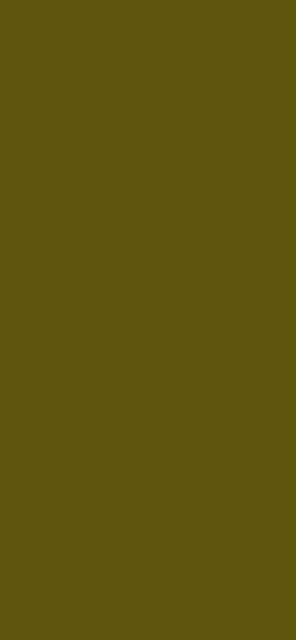 #5D560B color image