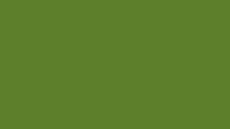 #5D7F2C color image