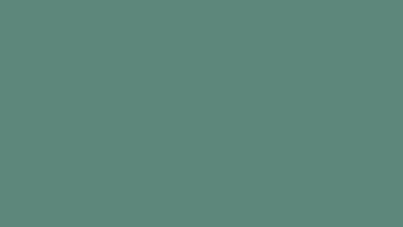 #5D877B color image