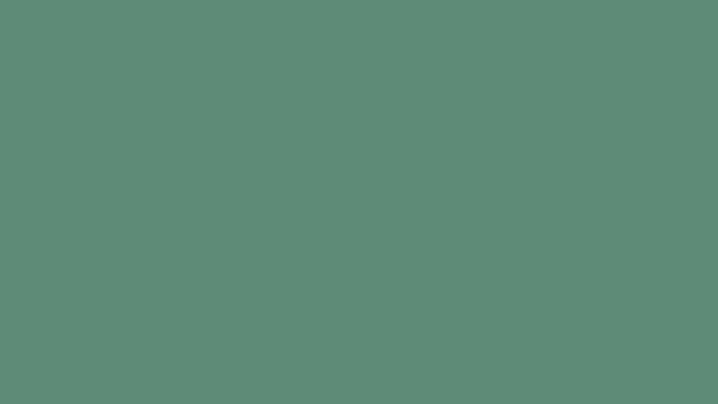 #5D8B78 color image