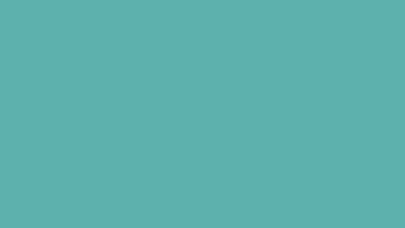 #5DB1AD color image