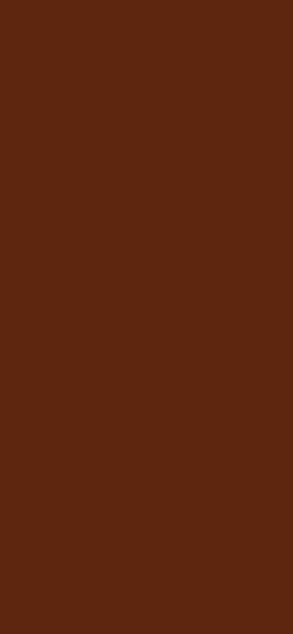 #5E250F color image