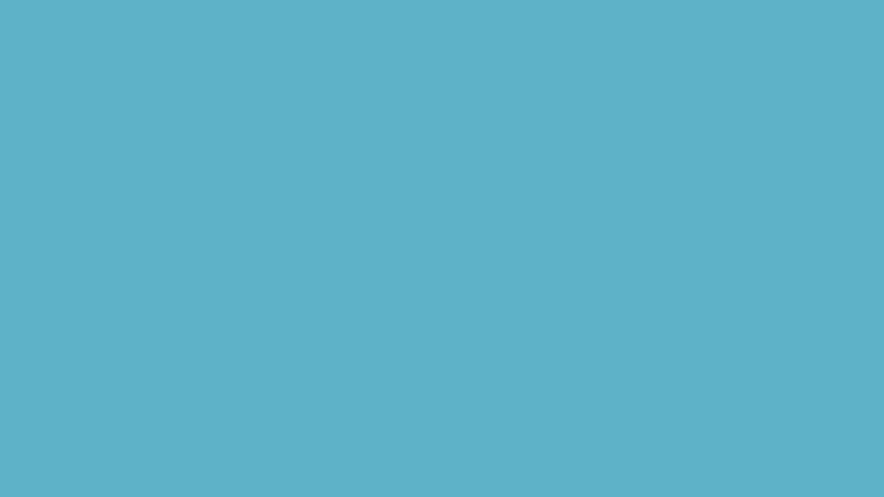#5EB2C8 color image