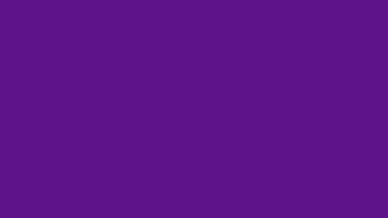 #5F138B color image