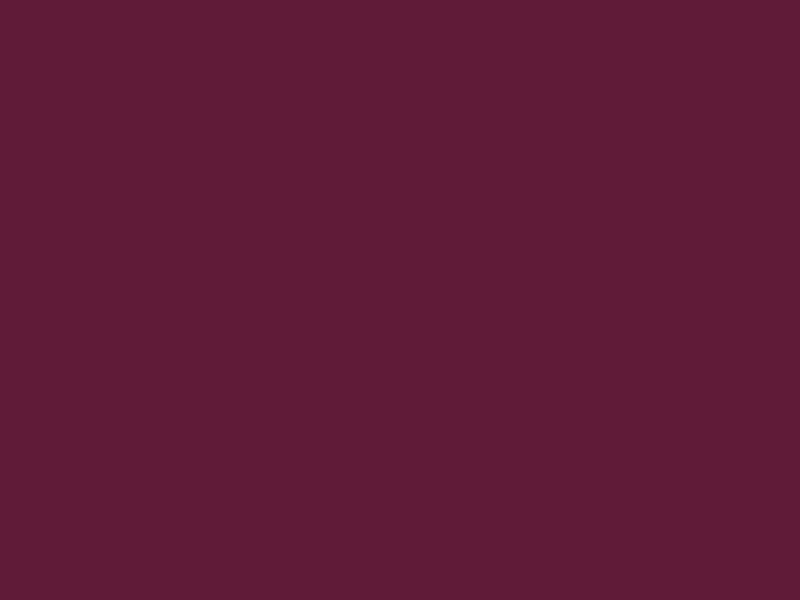 #601B38 color image