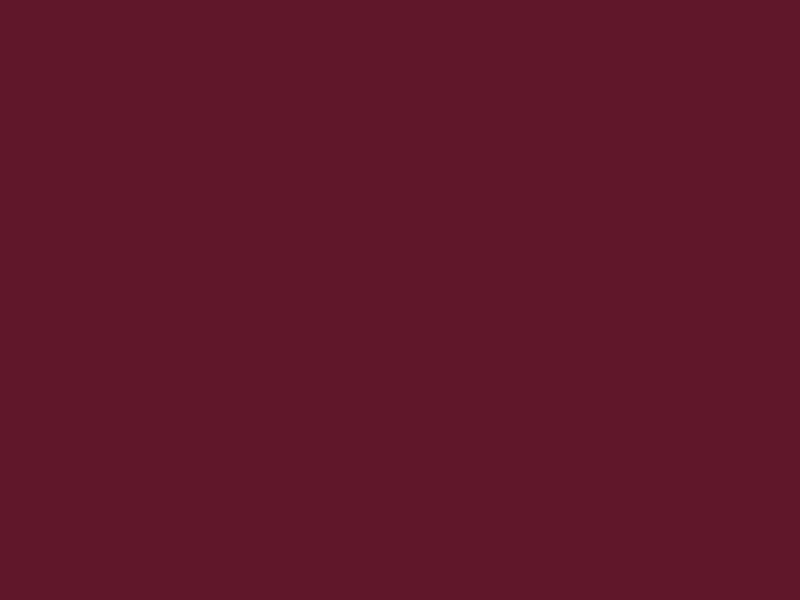 #61172A color image
