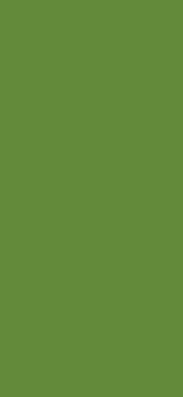 #638A3A color image