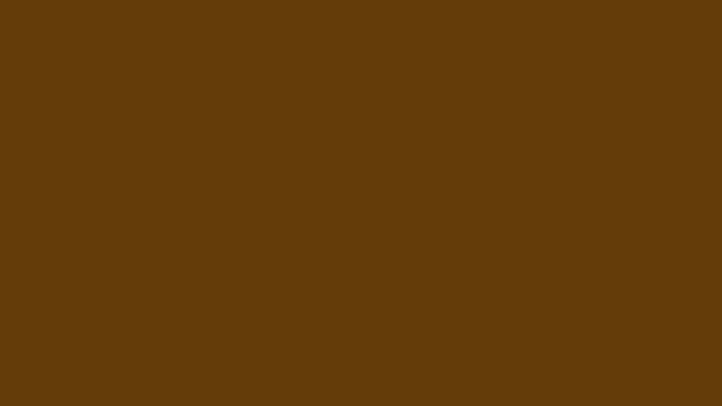 #643C09 color image