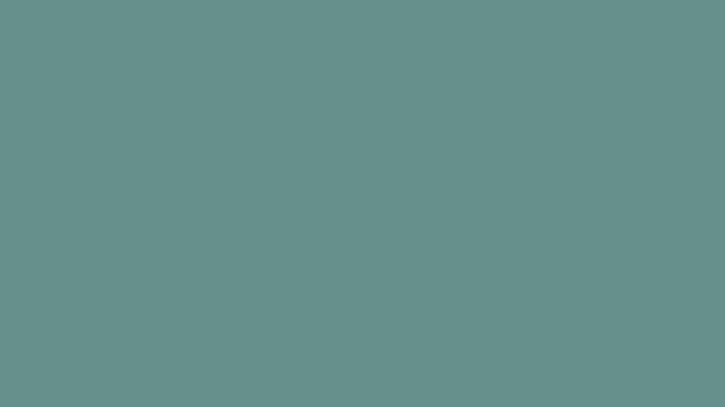 #658E87 color image