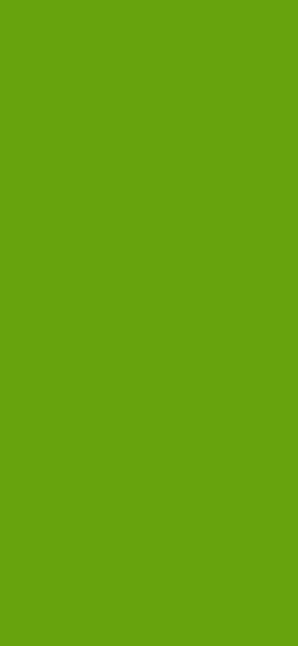 #66A30C color image