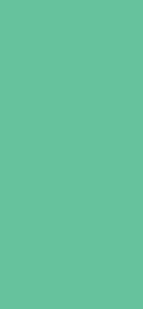 #66C29D color image