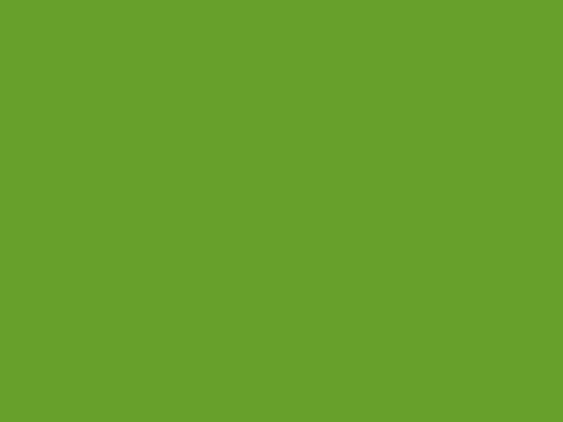 #67A12B color image