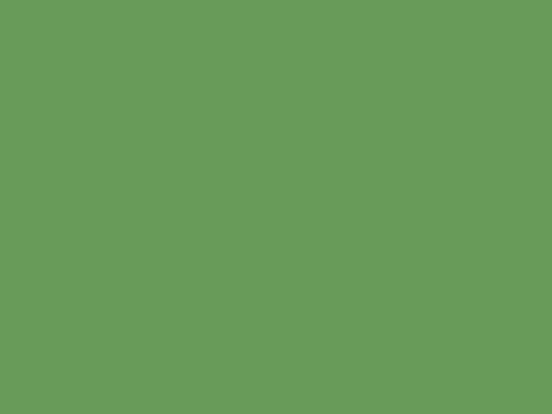 #689A5A color image