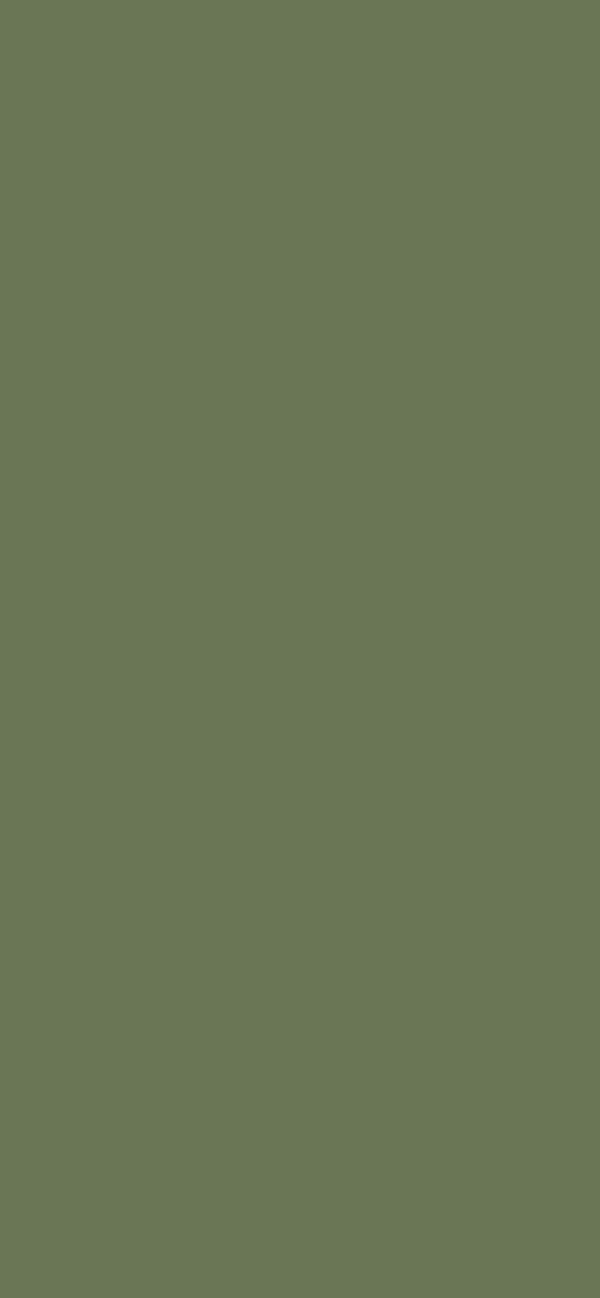 #6A7655 color image
