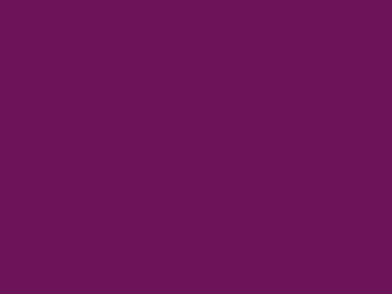 #6D135A color image