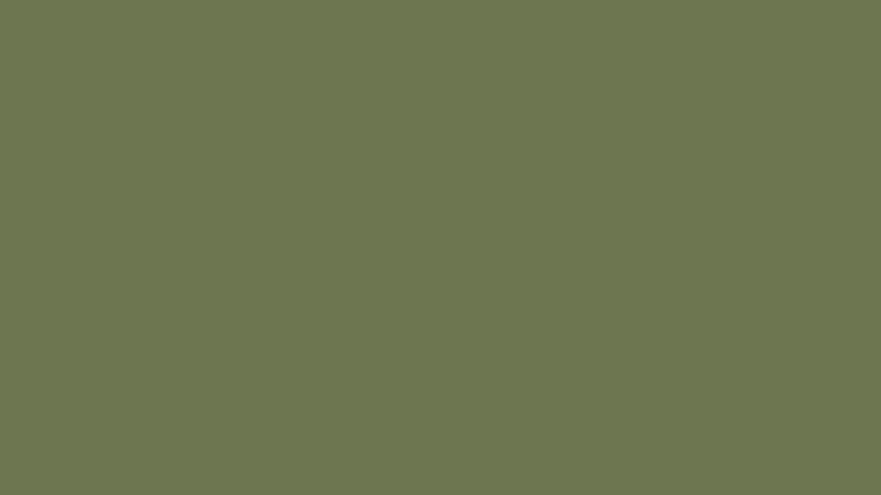 #6D7650 color image