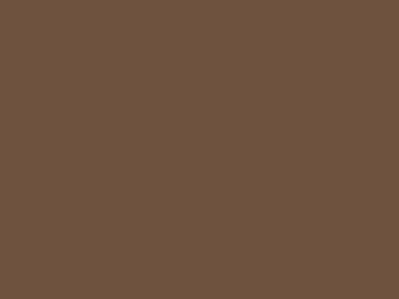 #6E523E color image