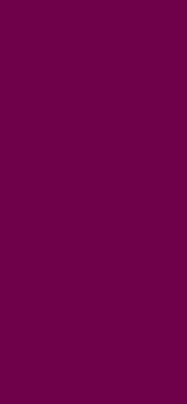 #6F014A color image