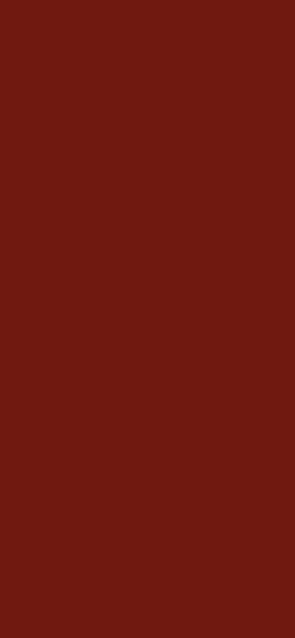 #6F1911 color image