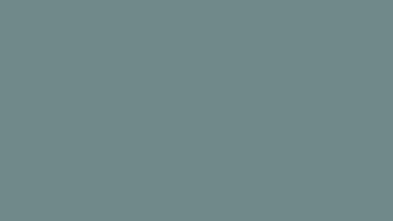#70898A color image