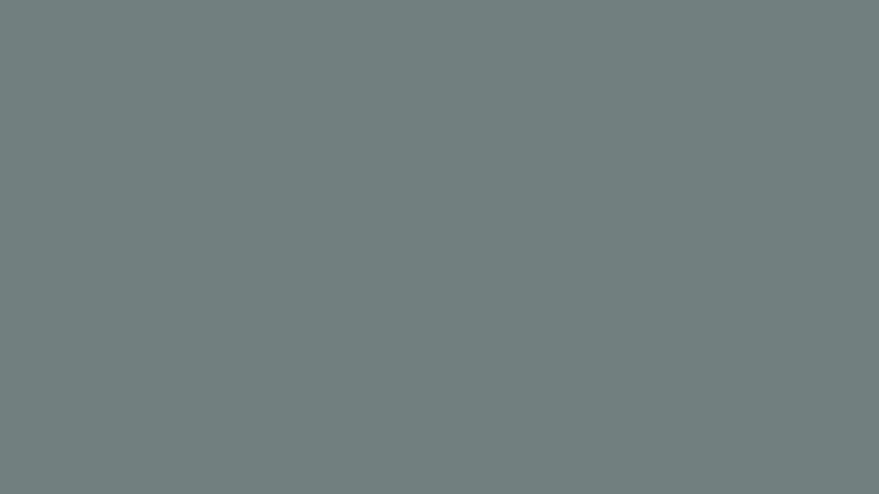 #717F7F color image