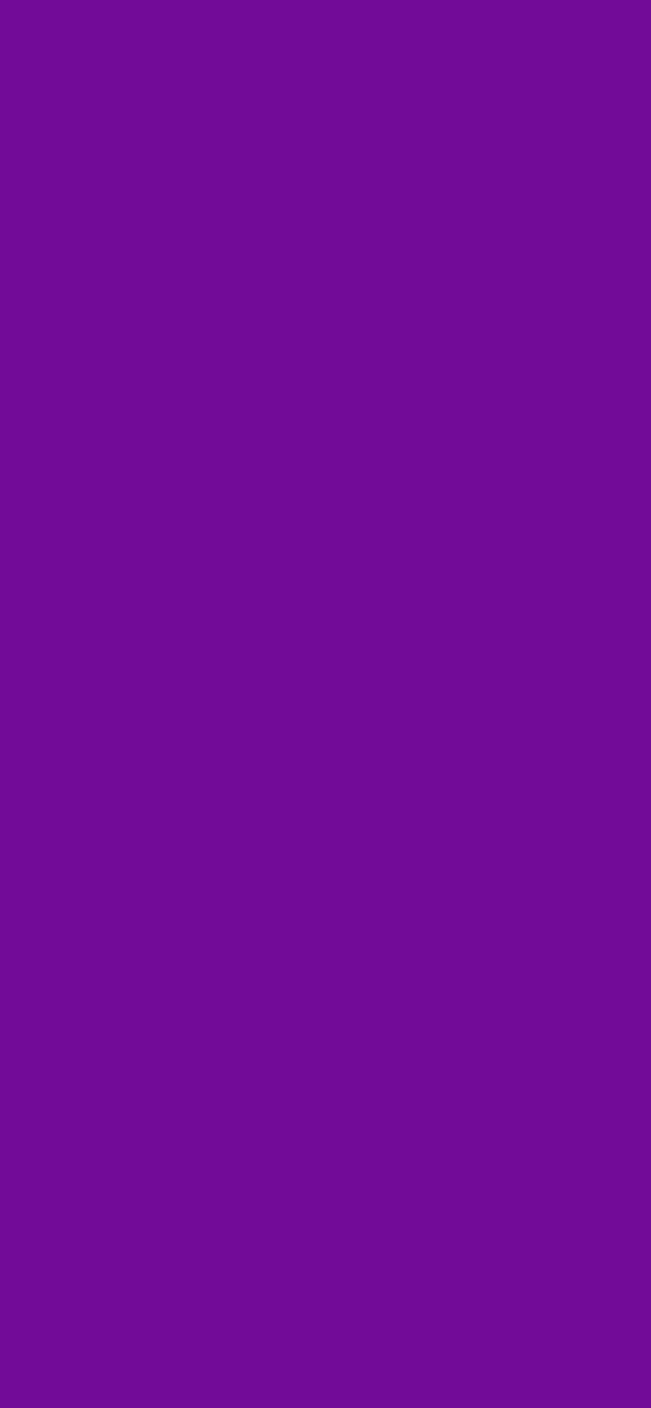 #720B98 - Chinese Purple color image