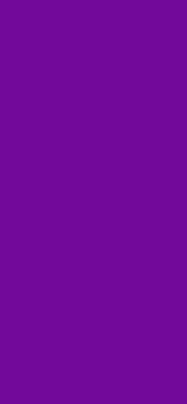 #73099B color image