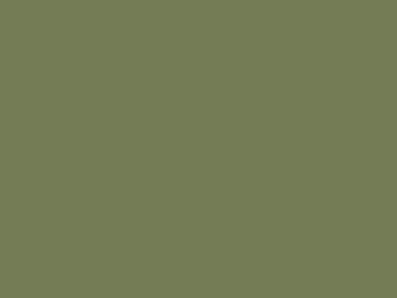 #737C55 color image