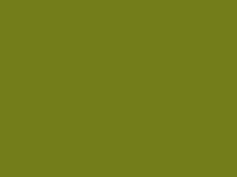 #737E1B color image