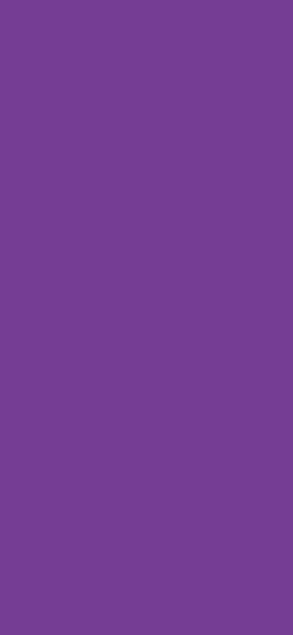 #743E95 color image