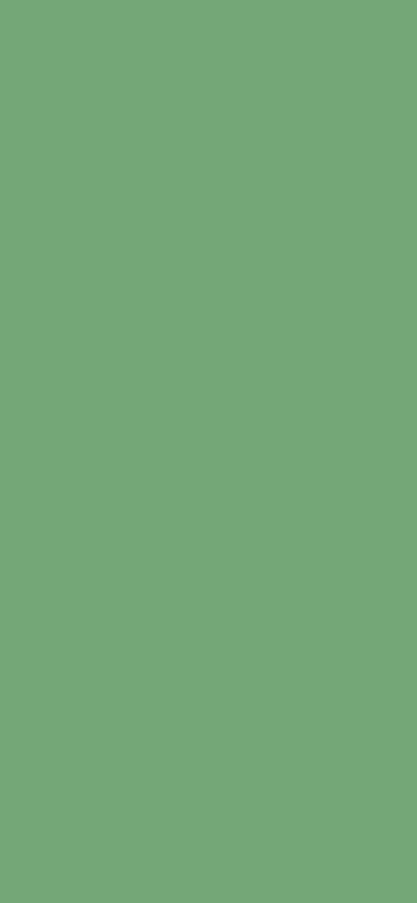#74A777 color image