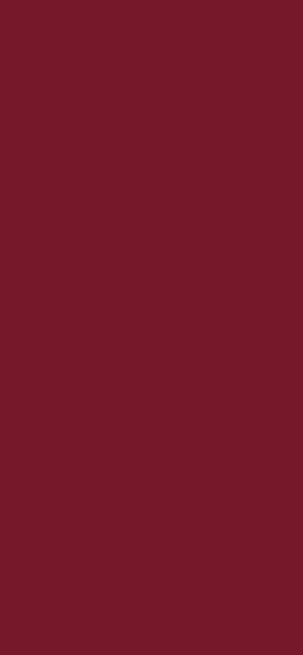 #77182A color image