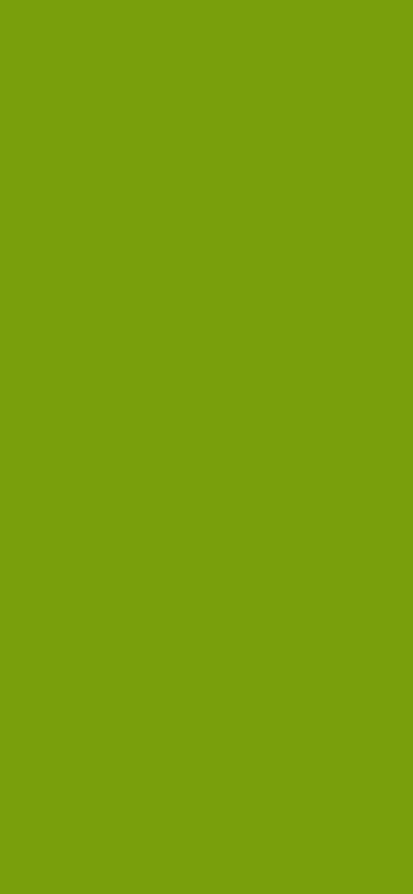 #789F0C color image