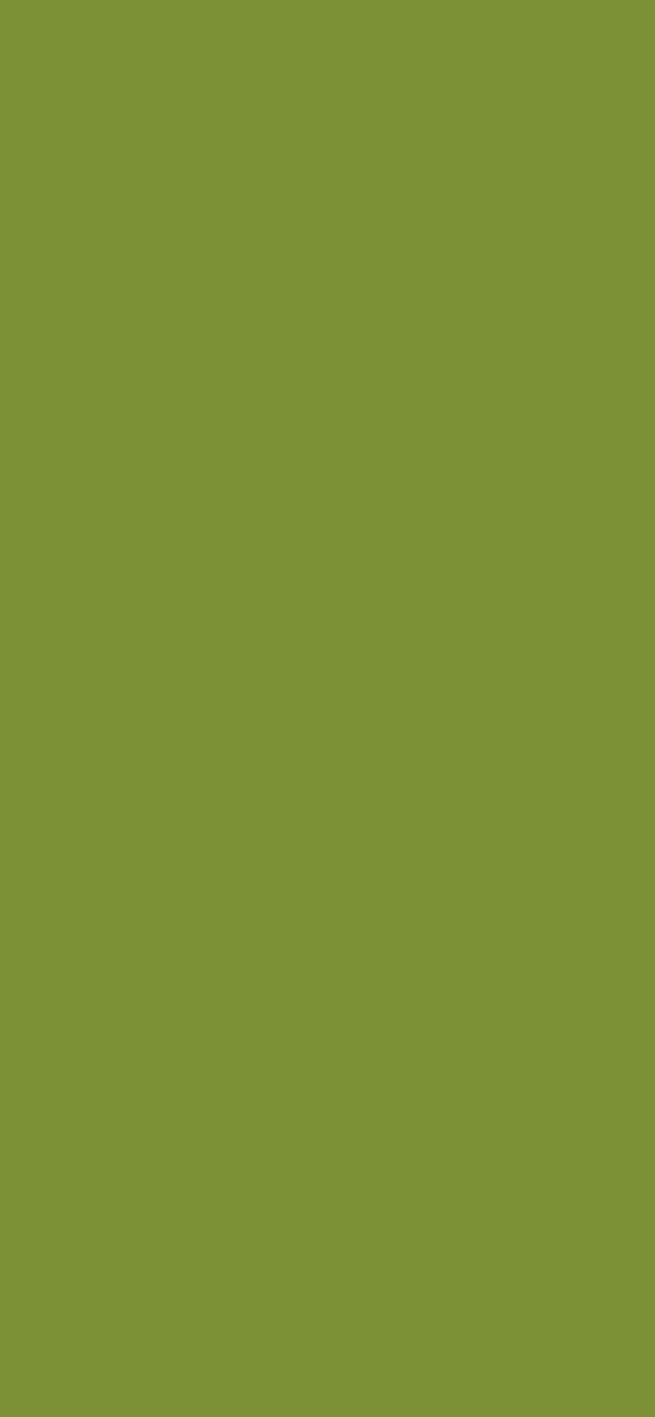 #7C9135 color image