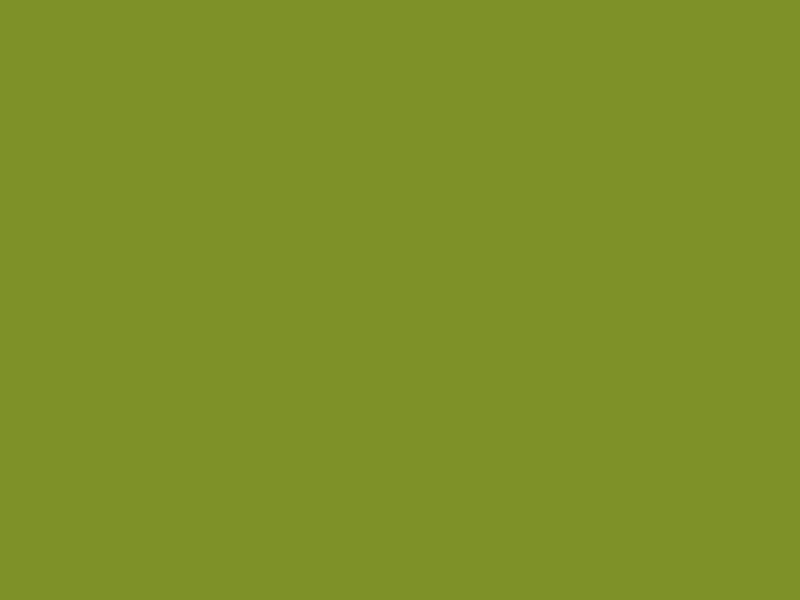 #7E9128 color image