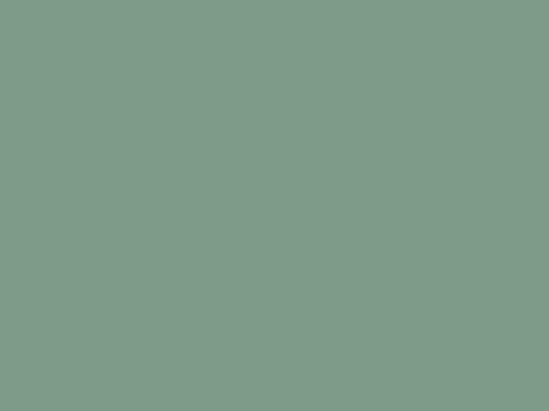 #7E9B8A color image