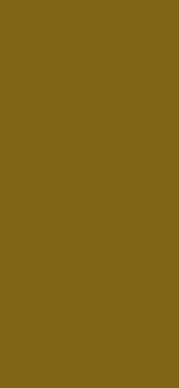 #806517 - Oak Brown color image