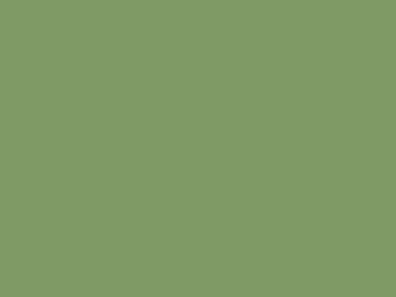 #809A65 color image