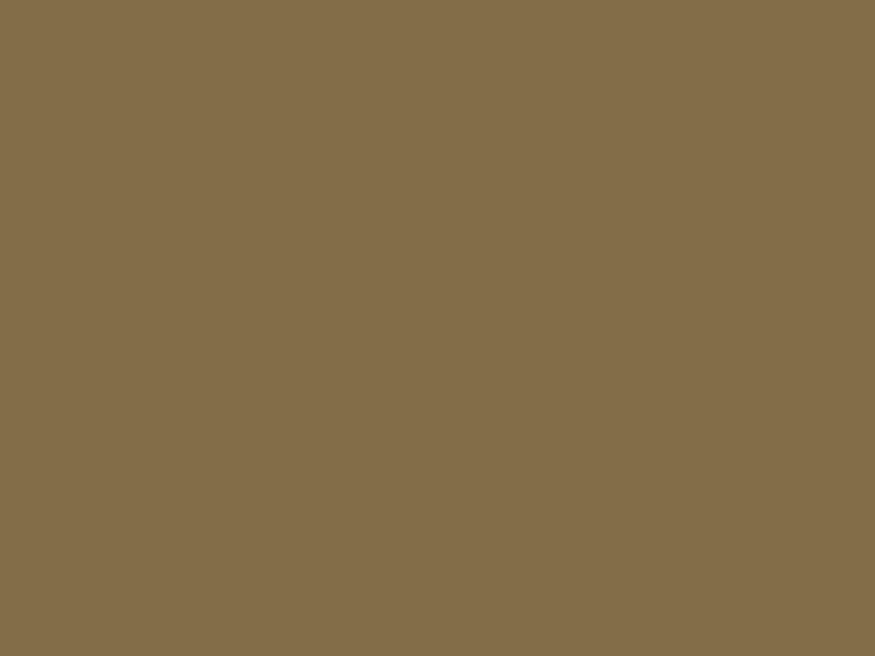 #816C45 color image