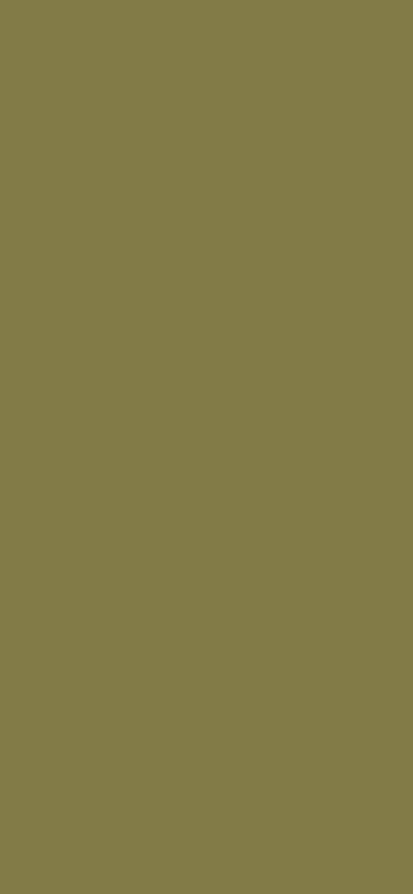 #827A47 color image