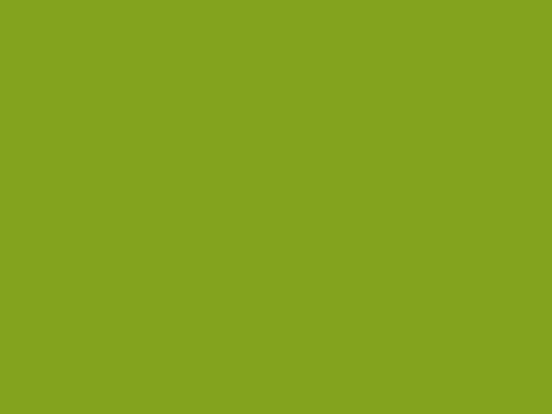 #82A11C color image