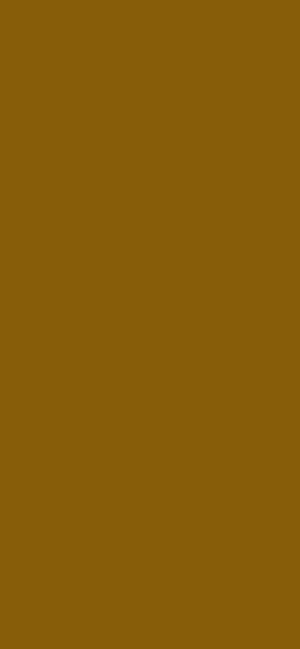 #875D09 color image