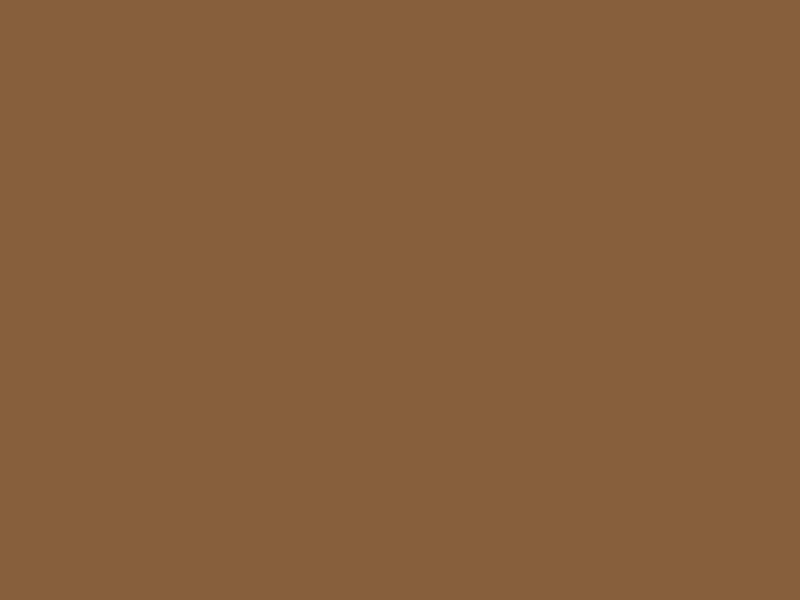 #875F3C color image