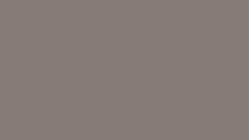 #877D76 color image