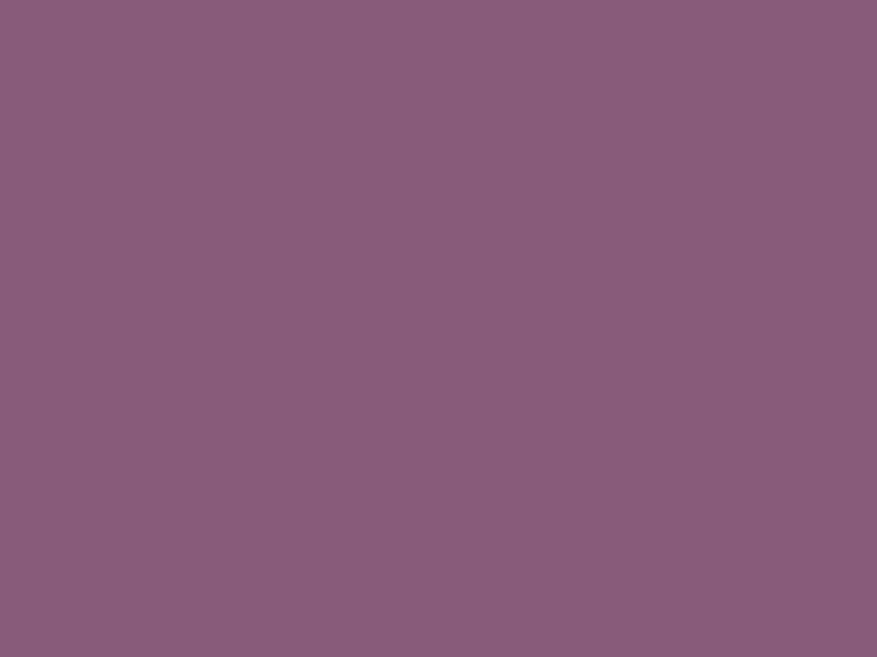 #895B7B - Dusky Purple color image