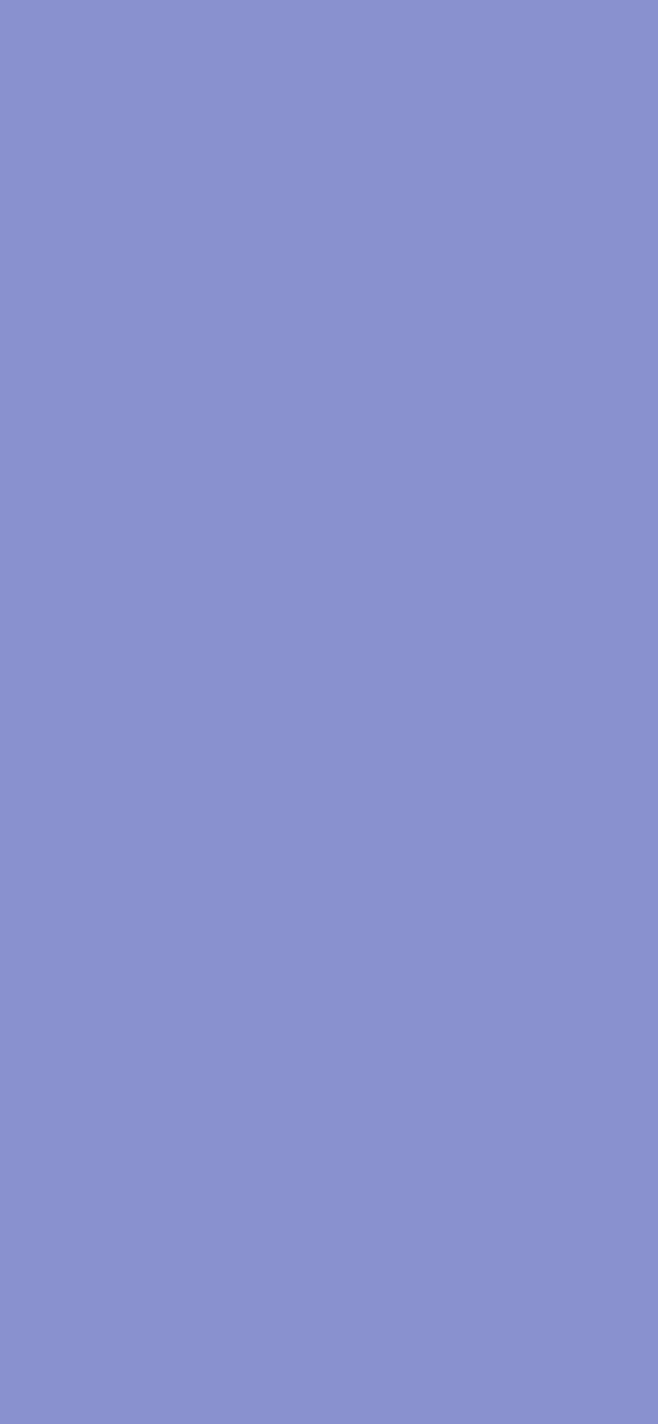 #8991CF color image