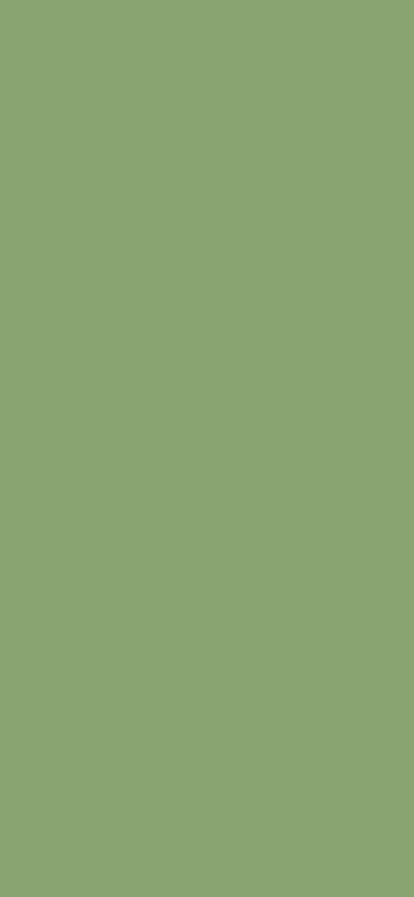 #89A471 color image