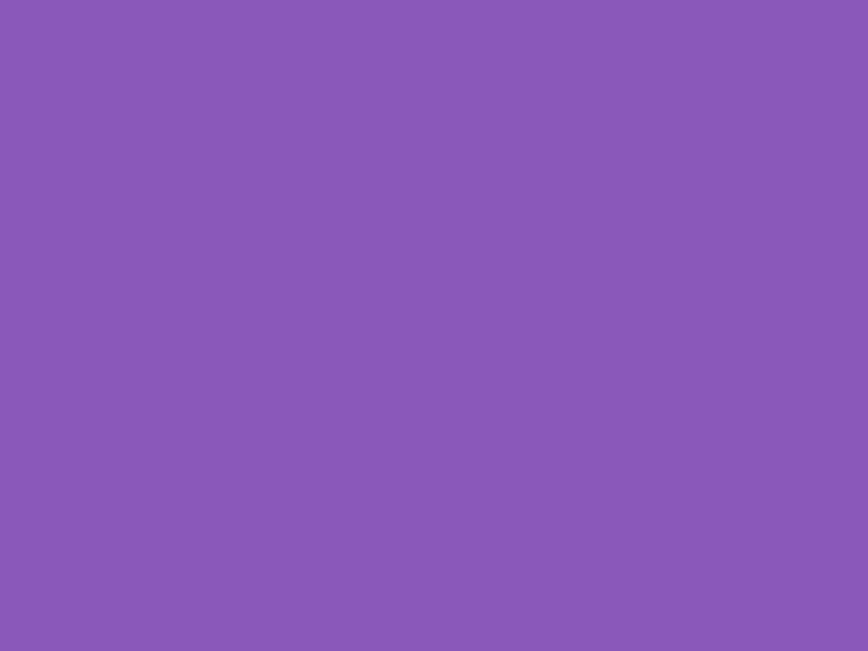 #8A58BA color image