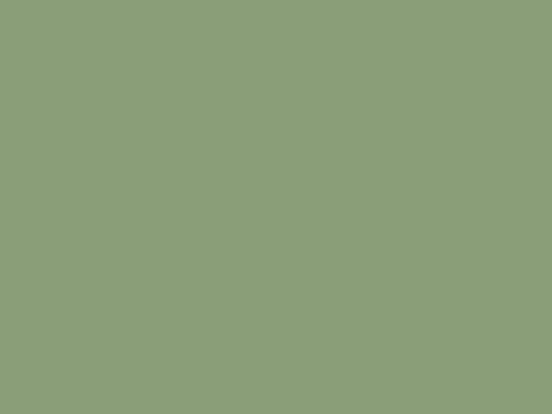 #8A9E78 color image